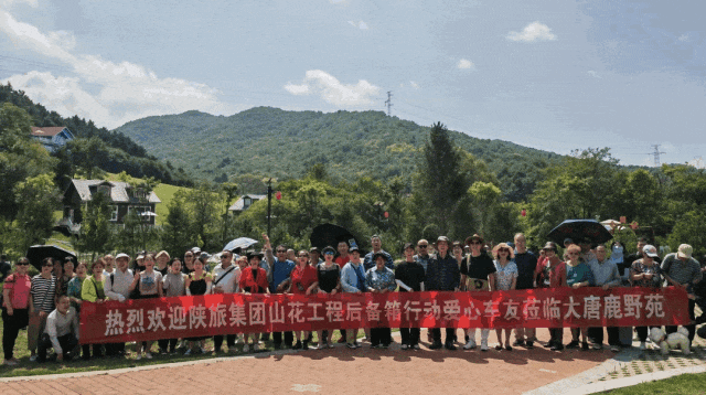 ed861775df24945625773985169d4dab.gif