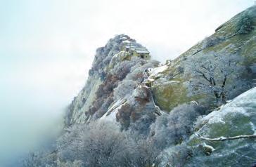 1515999116218730.jpg 3.jpg