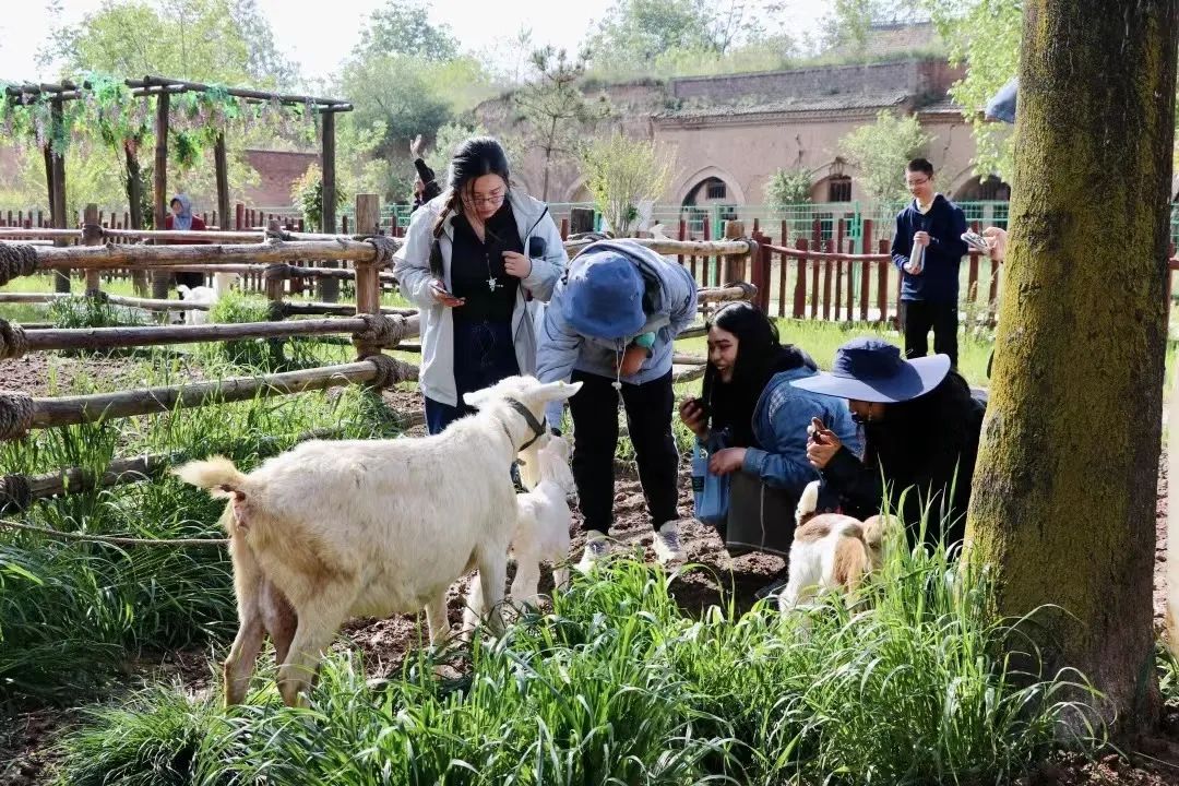433401f8919db43e6cc0da9875a1b8e4.jpg 微信图片_20221031103942.jpg