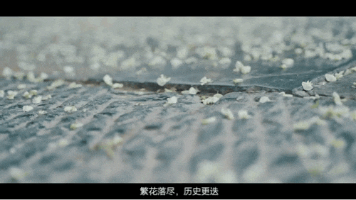 035a674016fc9bd4c77909afd335b16a.jpg 21.gif