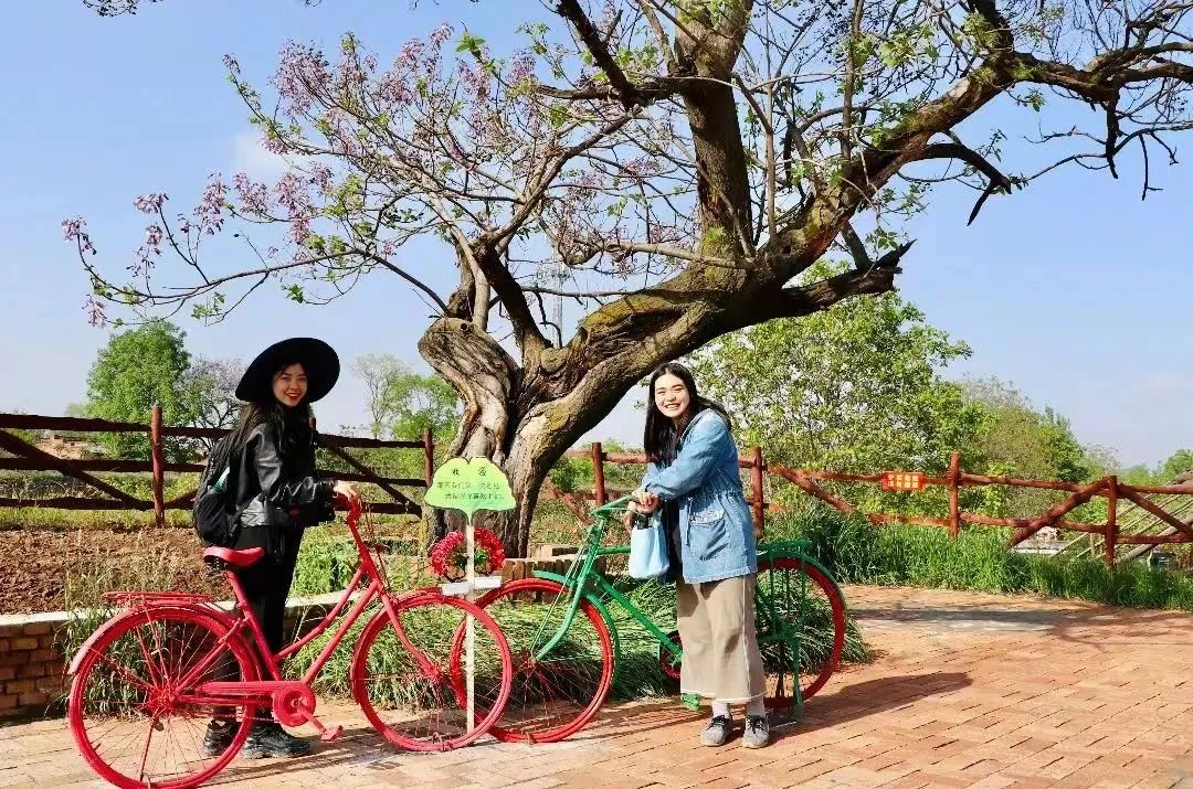 faad5316a65a854f8c93af0123455e01.jpg 微信图片_20221031103947.jpg